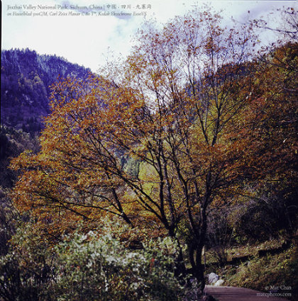 The Valley in Autumn Colours